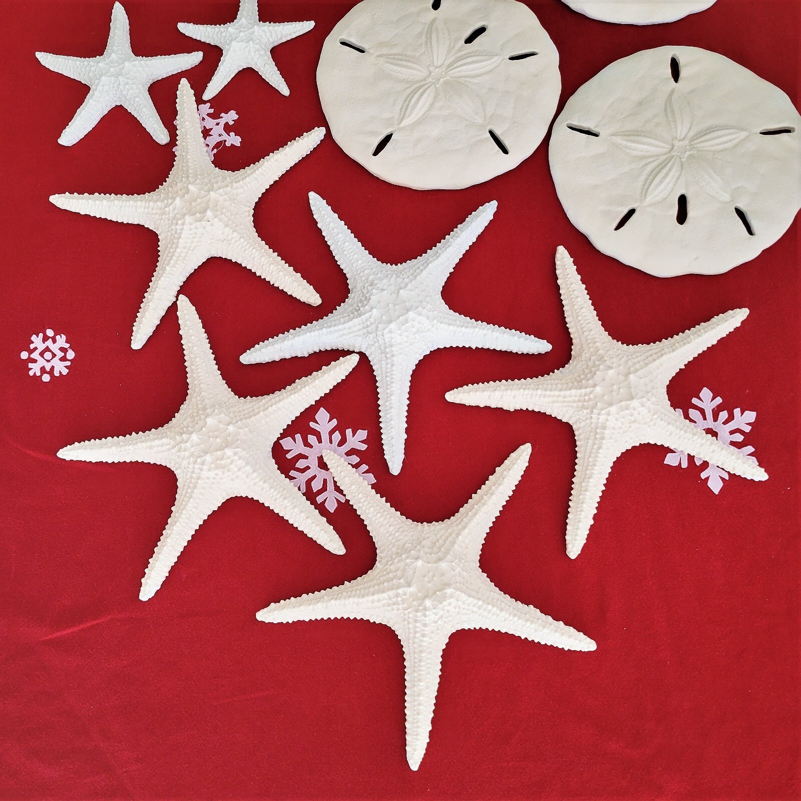 Lot of 12 Starfish and Sand Dollar Nautical Hanging Wall Decor Large Pieces VGUC