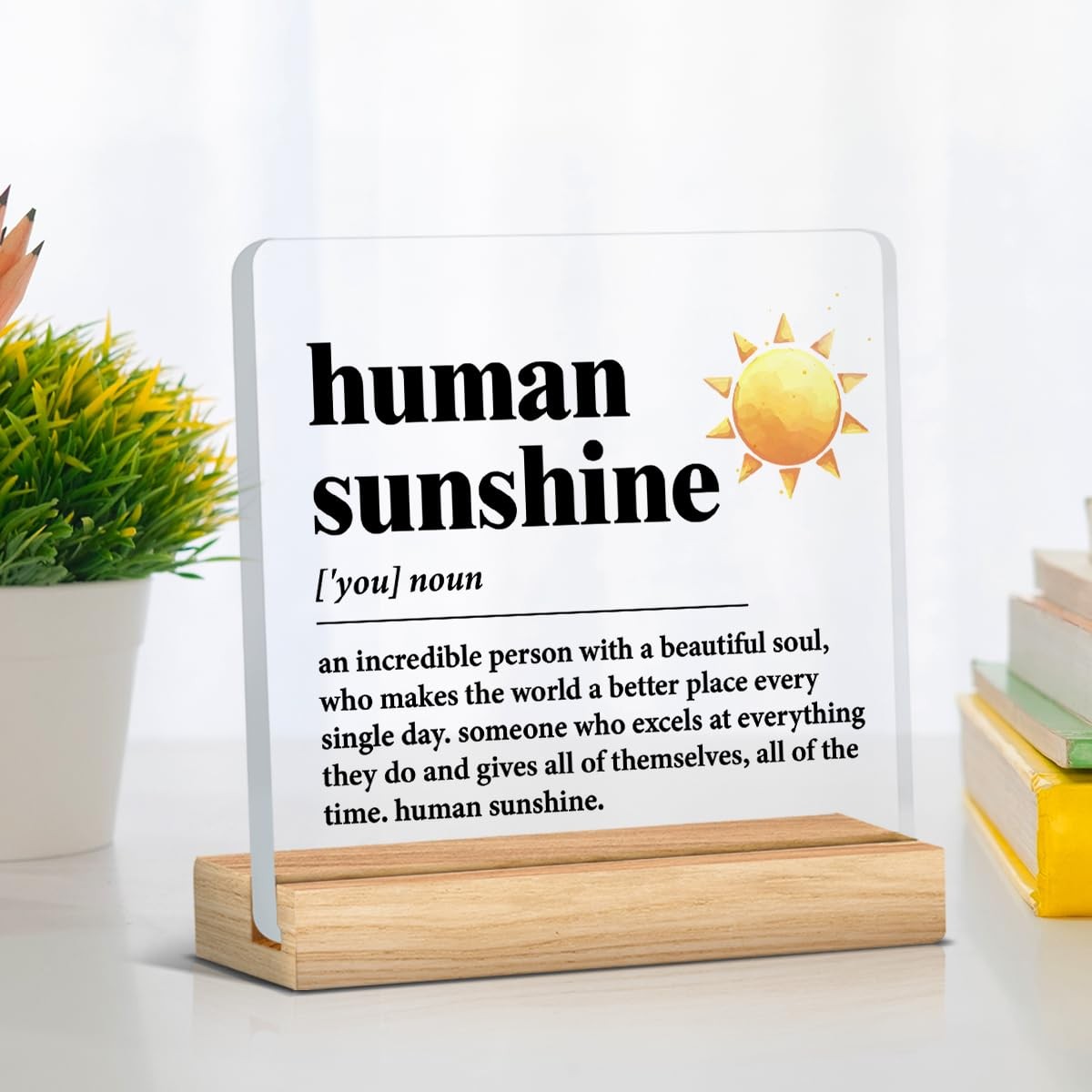 Leader Mentor Gift, Human Sunshine Definition Desk Sign, Office Decor