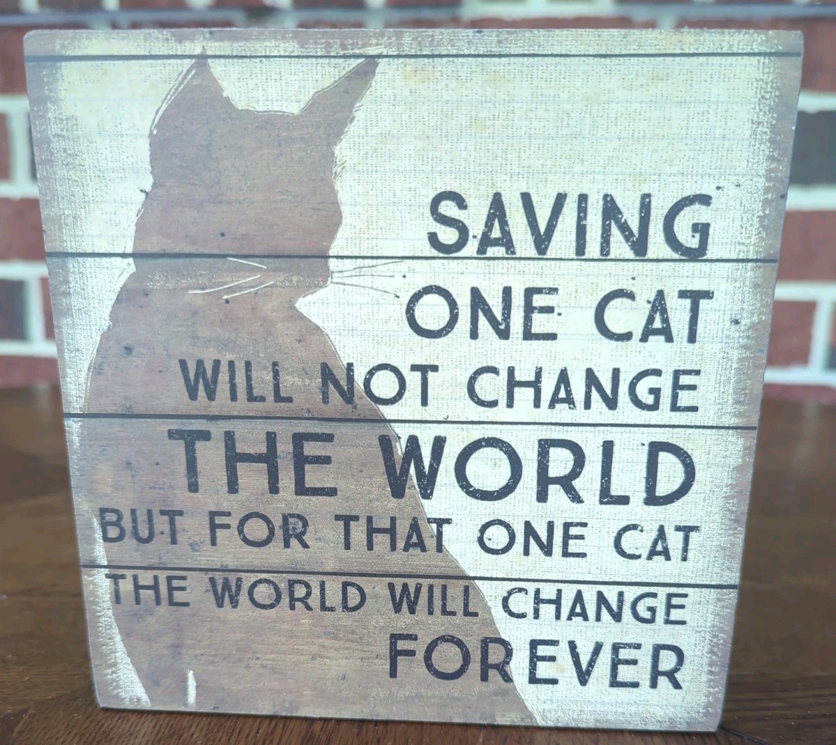 Primitives by Kathy Box Sign – Saving One Cat Will Not Change The World