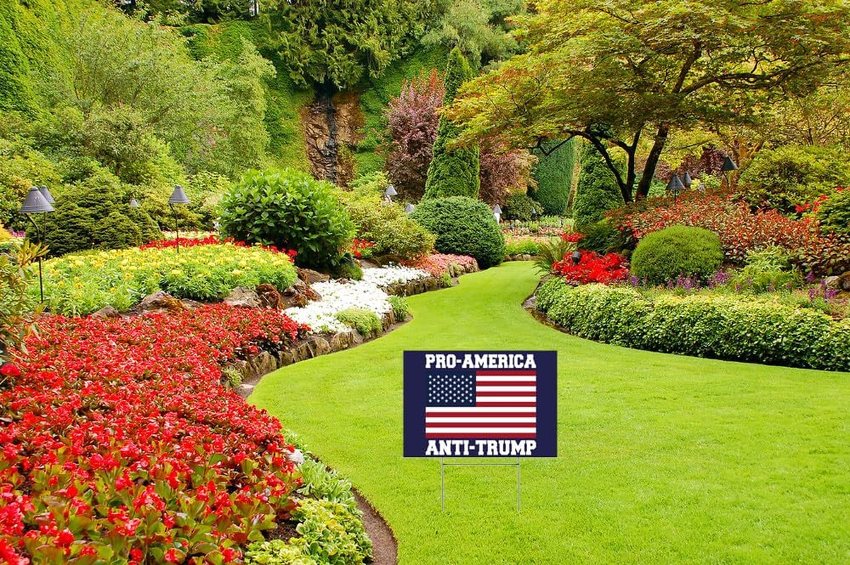 anti Trump Yard Signs 2024 Yard Sign Pro-Biden Anti-Trump Sign Lawn Biden Trump
