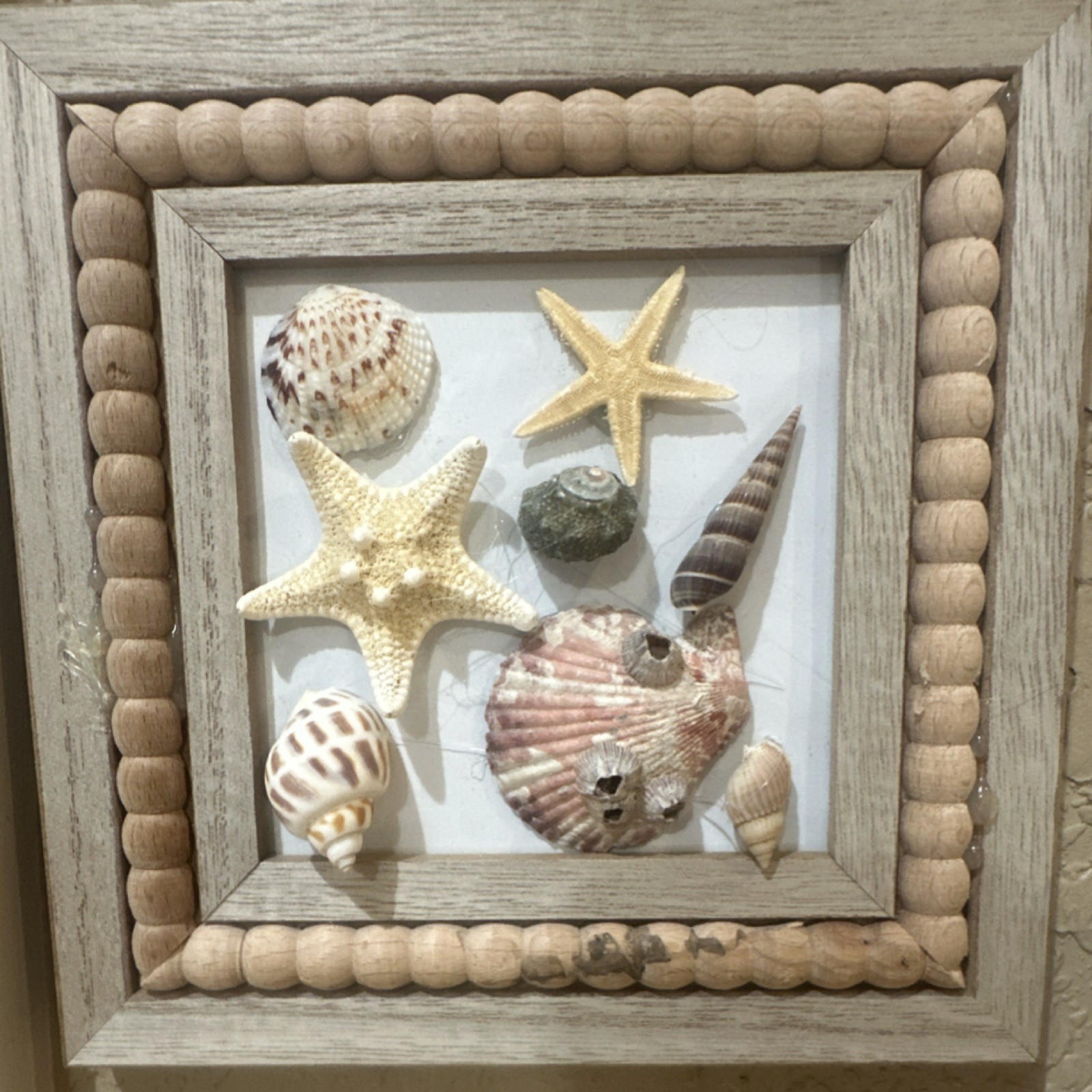 Beach Seashell Shadow Box Framed Wood Coastal Wall Decor