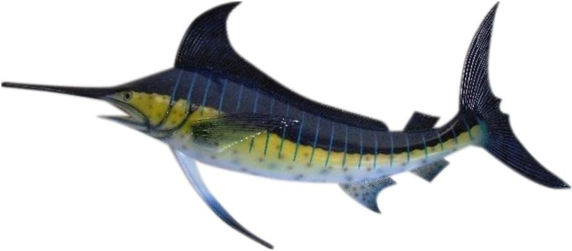 Coastal Marlin Replica Wall Art – Lightweight Design