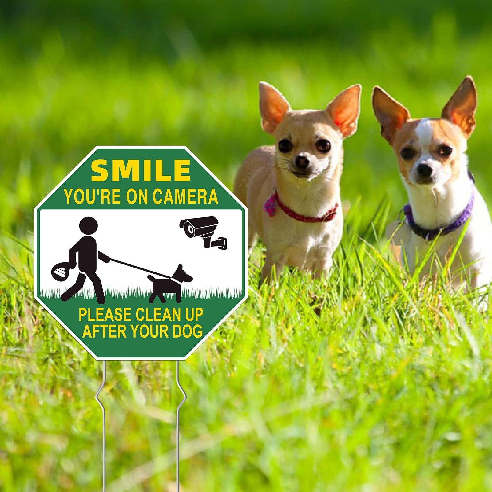 Clean UP After Your Dog Signs, 2-Pack 10″x10″ Double-Sided Metal Stakes Smile…