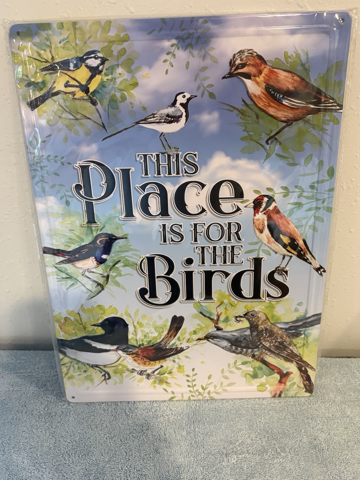 This Place Is For The Birds Metal Sign. 12”x16.75”. Garden, Birdwatching.