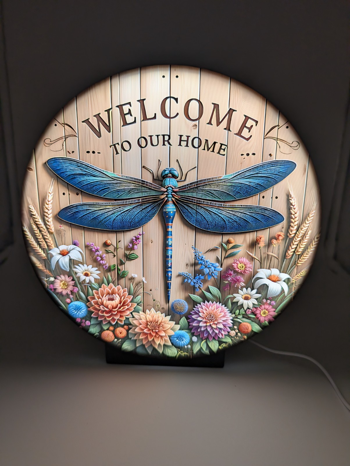 3D Dragonfly Welcome Sign Light Box LED Desk Lamp Dimmable USB Entryway Decor