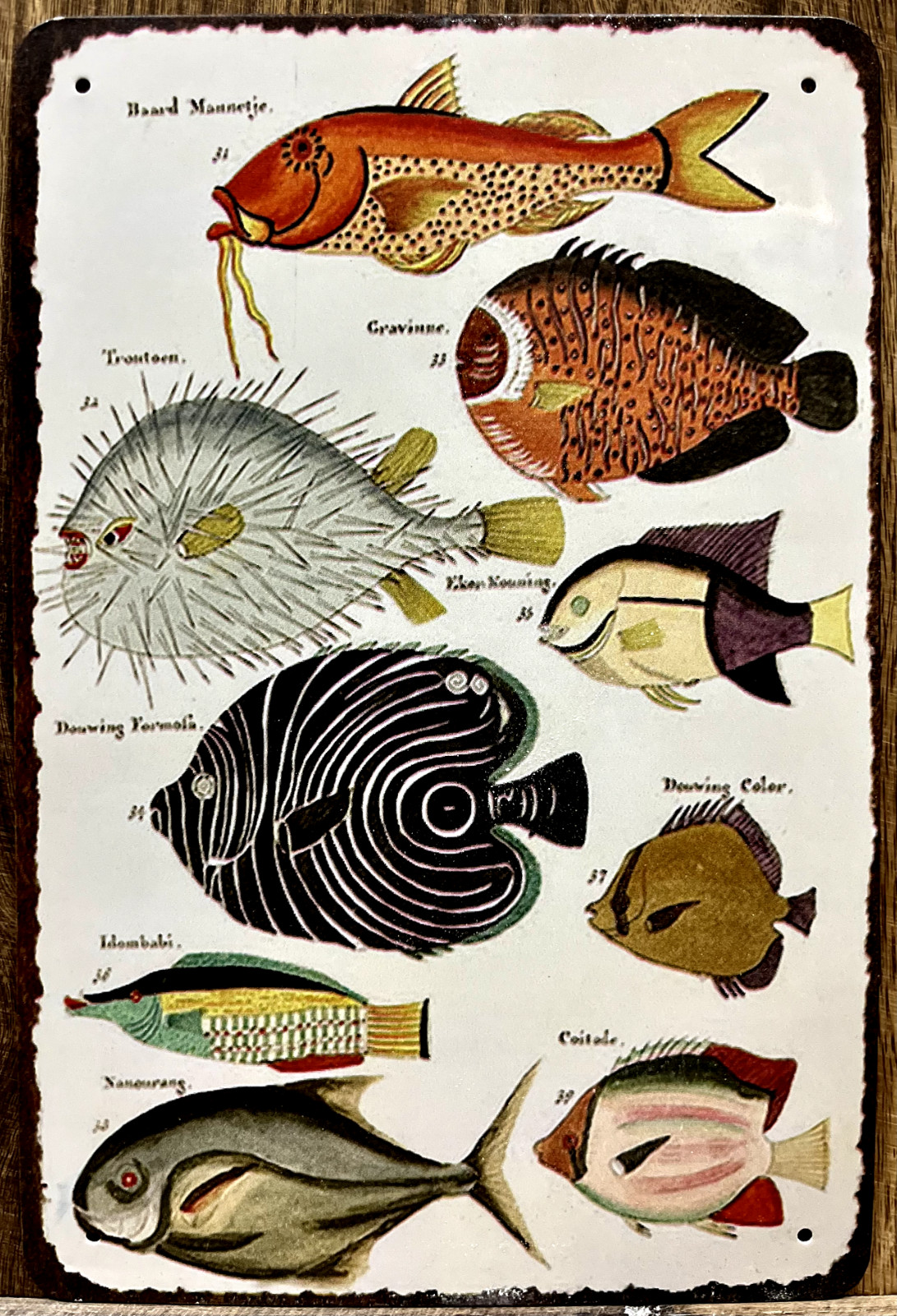 Fish Metal Wall Sign 12″ x 8″