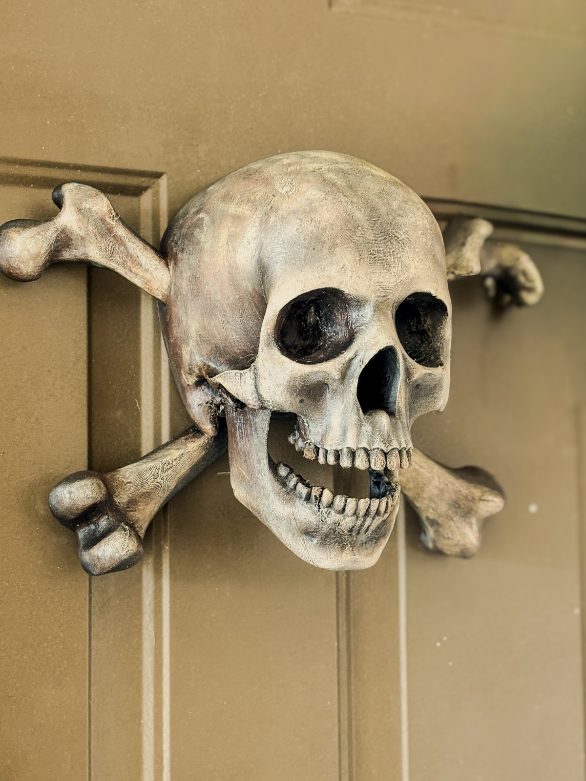 Pirate Skull & Crossbones Wall Decor | Lifesize Jolly Roger | Halloween Man Cave