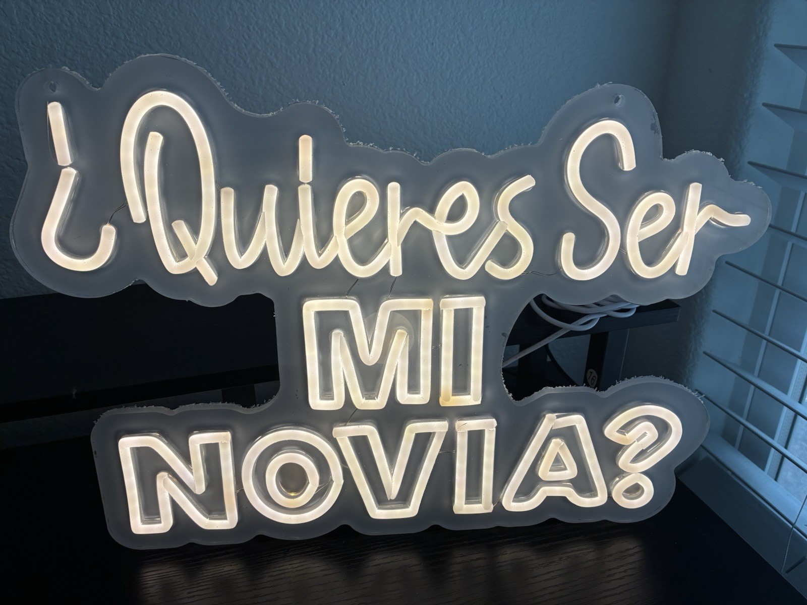 LED Decorative Wall Sign ¿Quieres Ser Mi Novia? White Acrylic Hanging Plaque