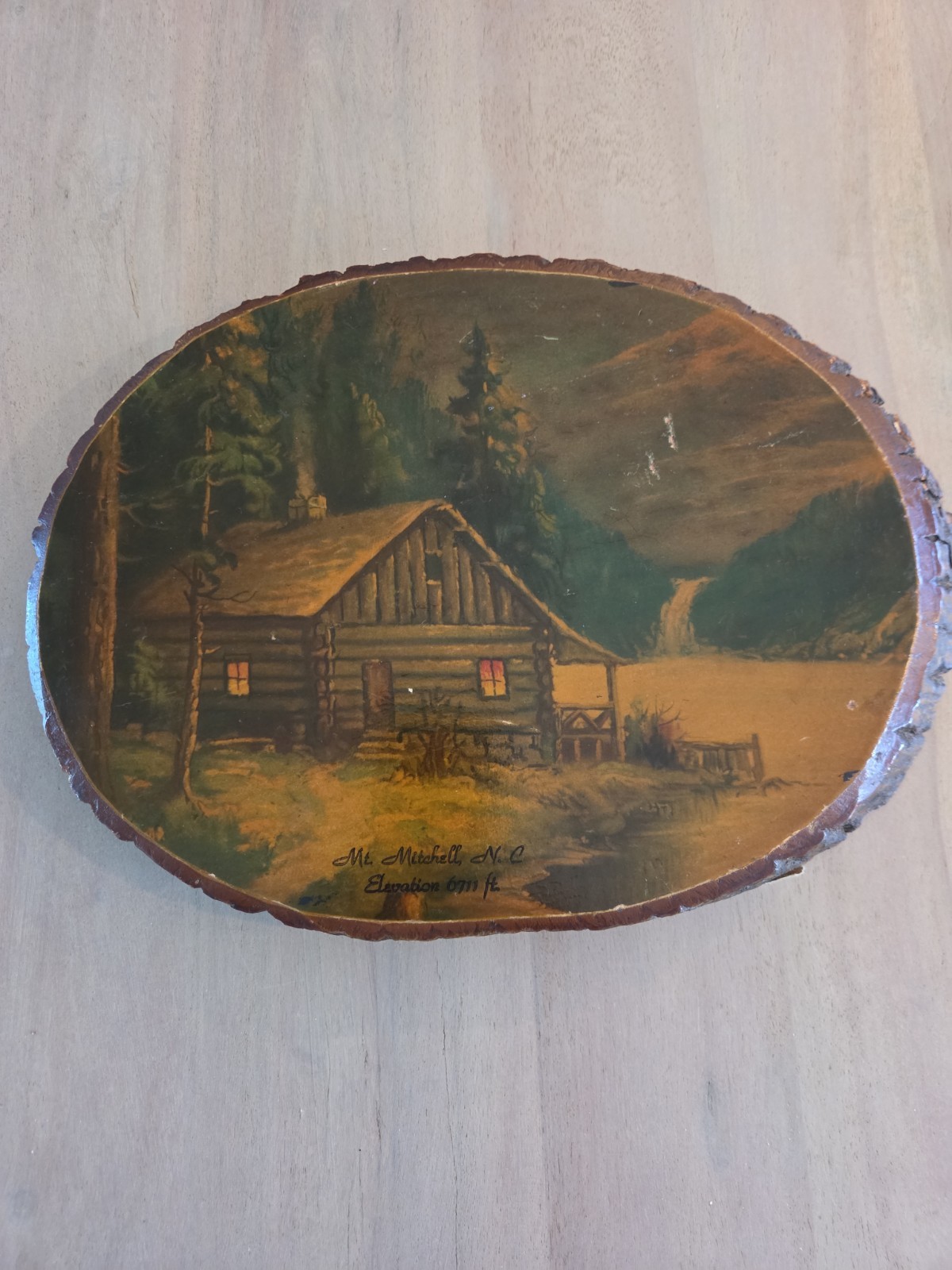 Mid 20th Century Mt.Mitchell,NC Elevation 6,711 Ft. Rustic Painting Wood Slice