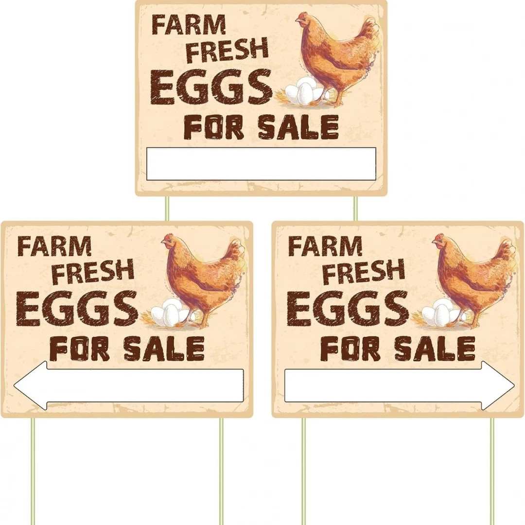 3Pcs Double Sided Farm Fresh Eggs Sign Eggs for Sale Sign Corrugated Plastic Fre