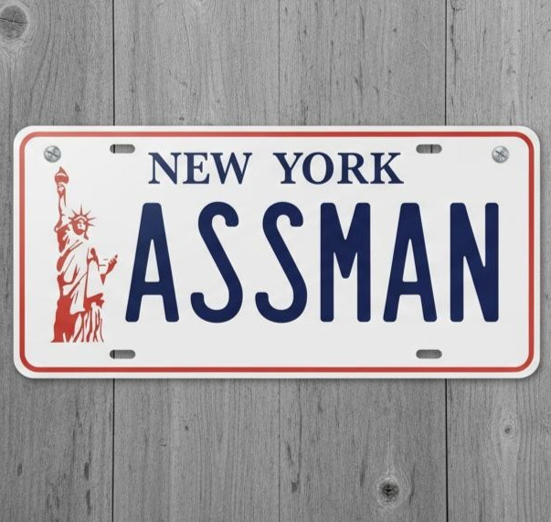 New York ASSMAN Seinfeld 6 x 12 Novelty Aluminum License Plate New!