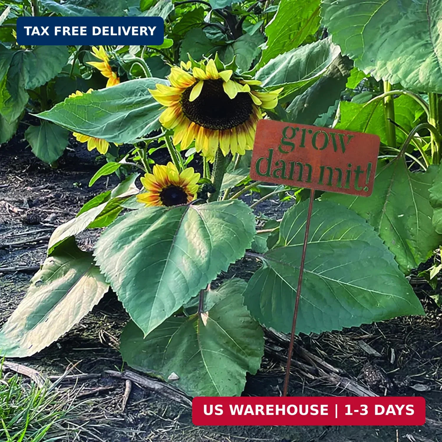 Island Genius Grow Dammit Funny Garden Sign, Unique Outside Gardening Decor Outd