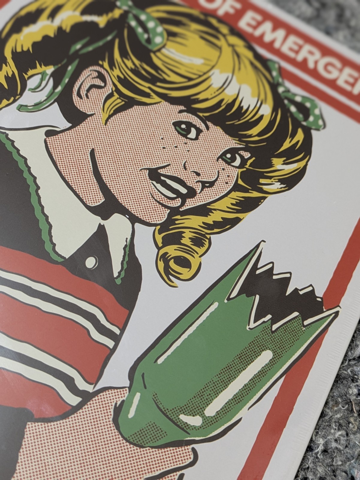 In Case of Emergency BREAK GLASS Steven Rhodes 8.5×11″ Metal Sign NEW SEALED