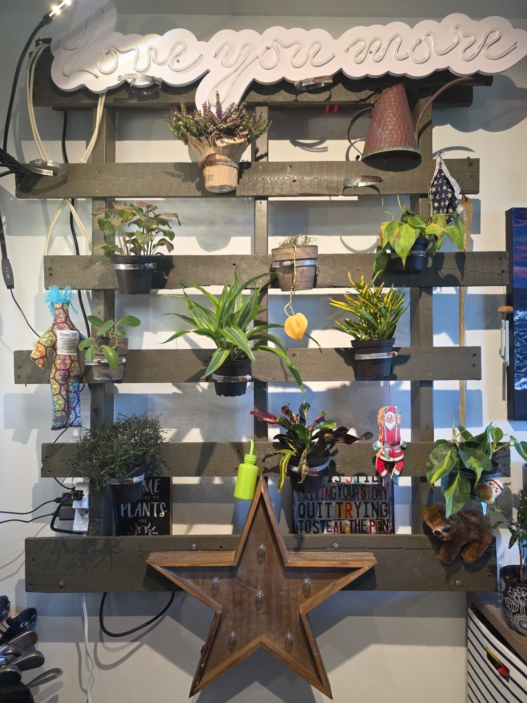 Homemade One of A Kind Living Plant Wall – Can Build You a Custom Version