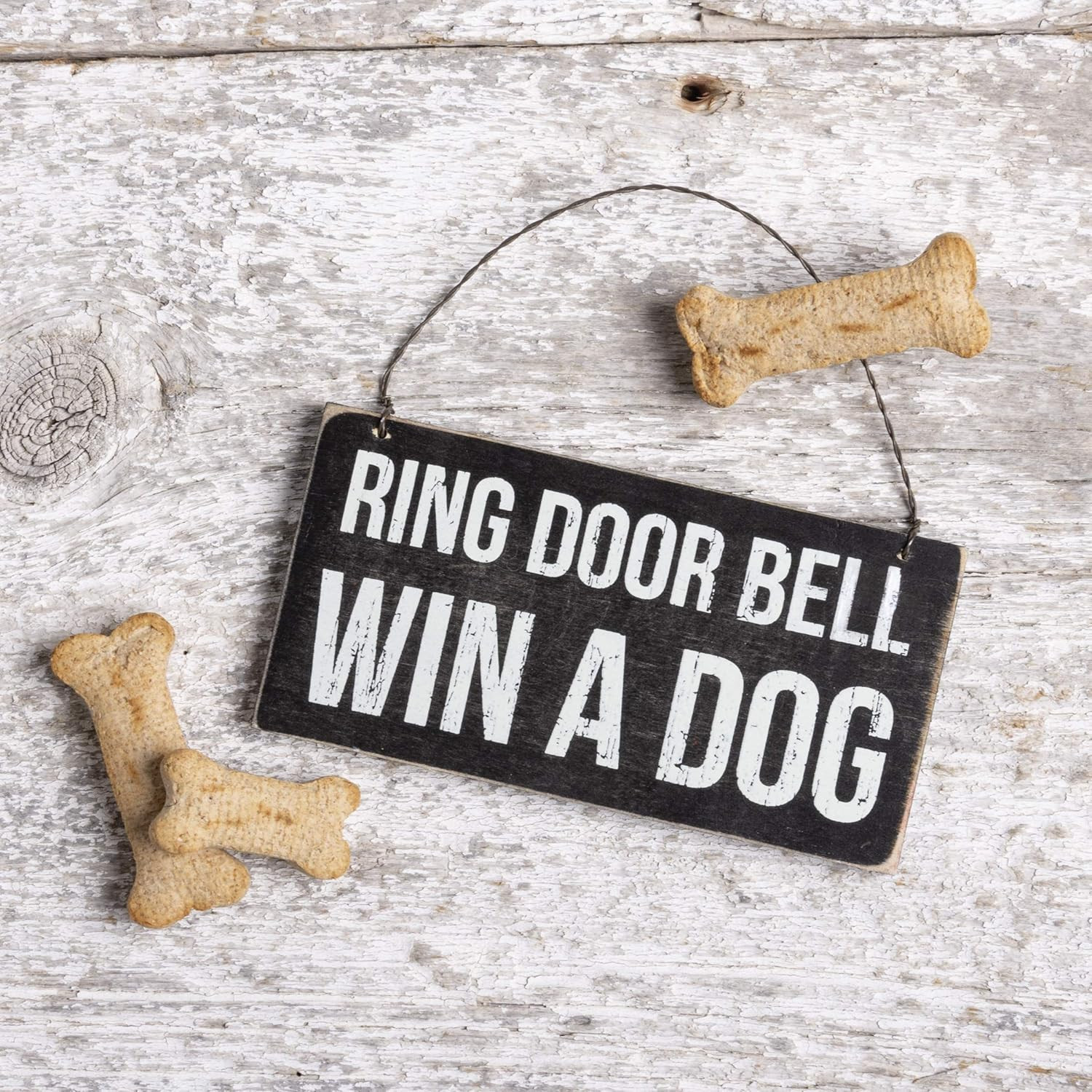 23064 Classic Black and White Hanging Sign, 6 X 3-Inches, Win a Dog