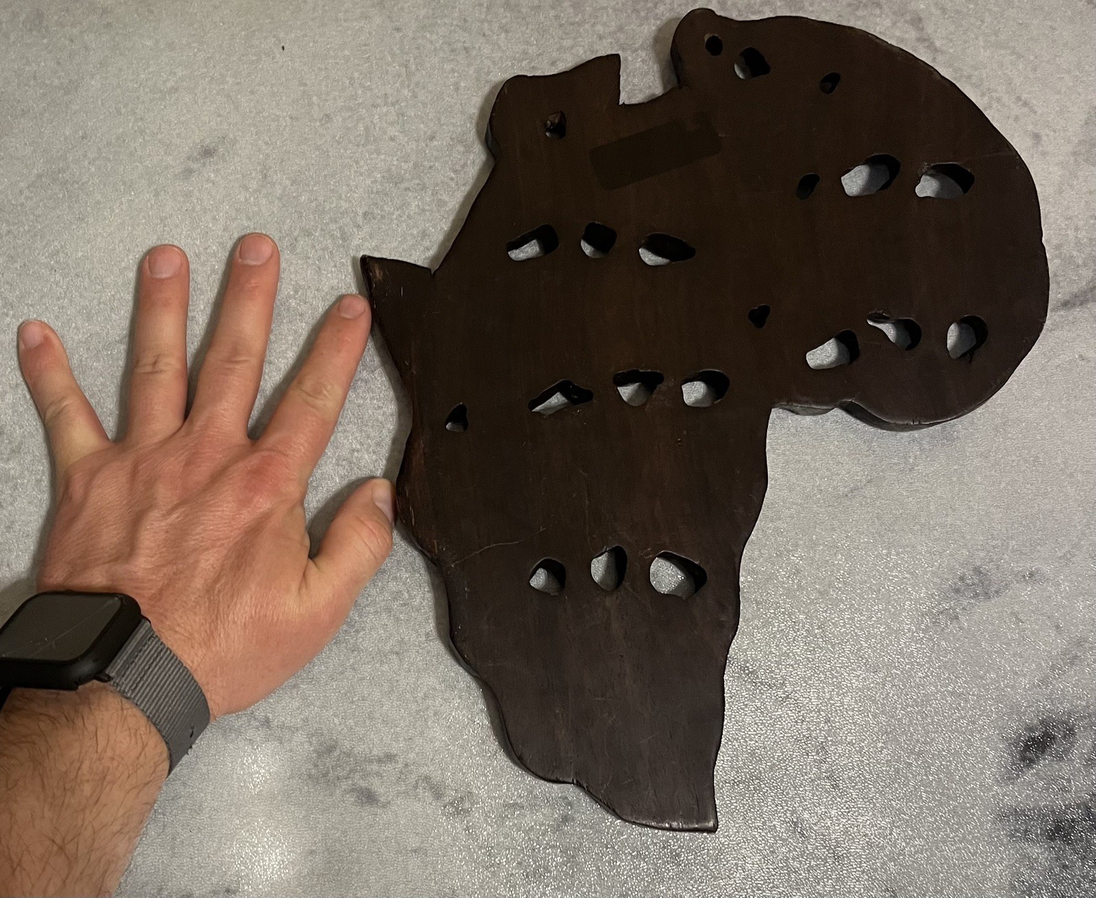 Hand Carved Wood Africa Map Wall Hanging Big Five Safari Animals Decor 11.5in