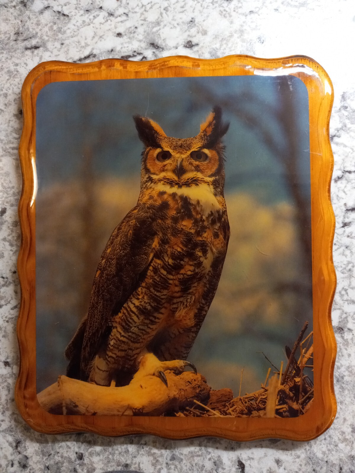 Vintage Hand Made Owl Picture Real Wood Plaque – Clear Polyurethane Covered