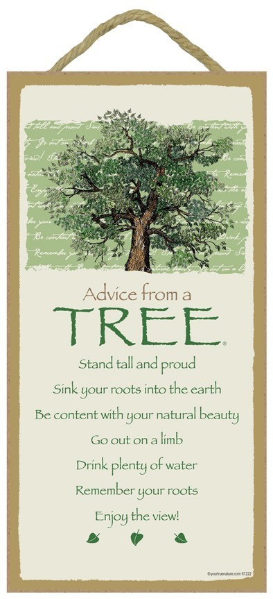 Advice From A TREE 10 x 5 Wood SIGN Plaque USA Made