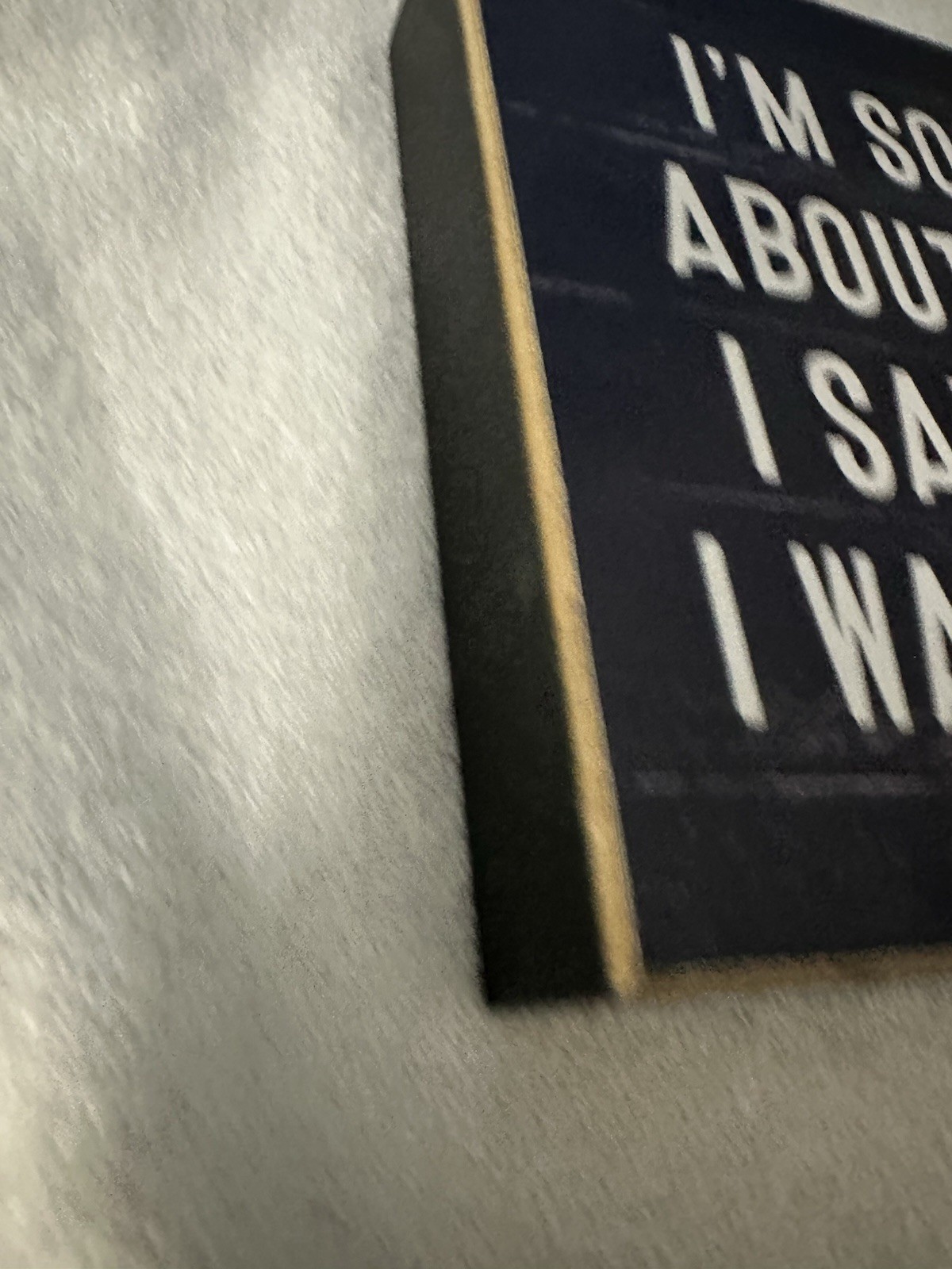 Mainstays Wood Wall Hanging Sign Black/White “I’m Sorry About What I Said…”