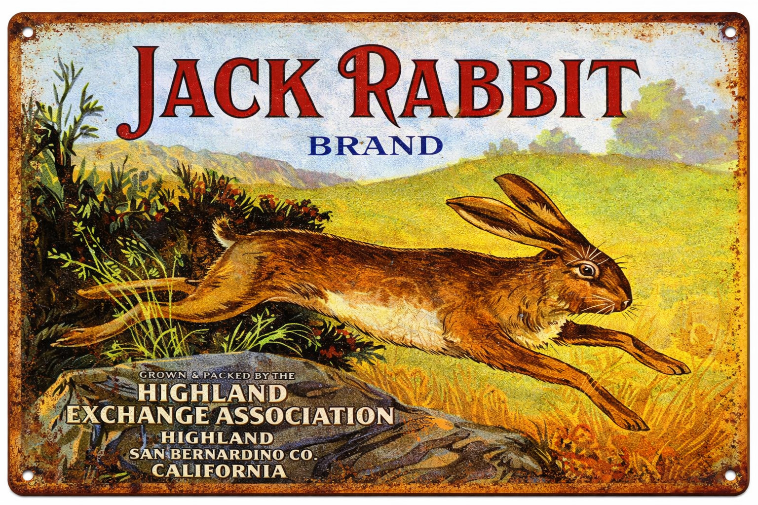 Jack Rabit Brand Oranges Highland CA Fruit Crate Label Retro 8×12 Metal Sign