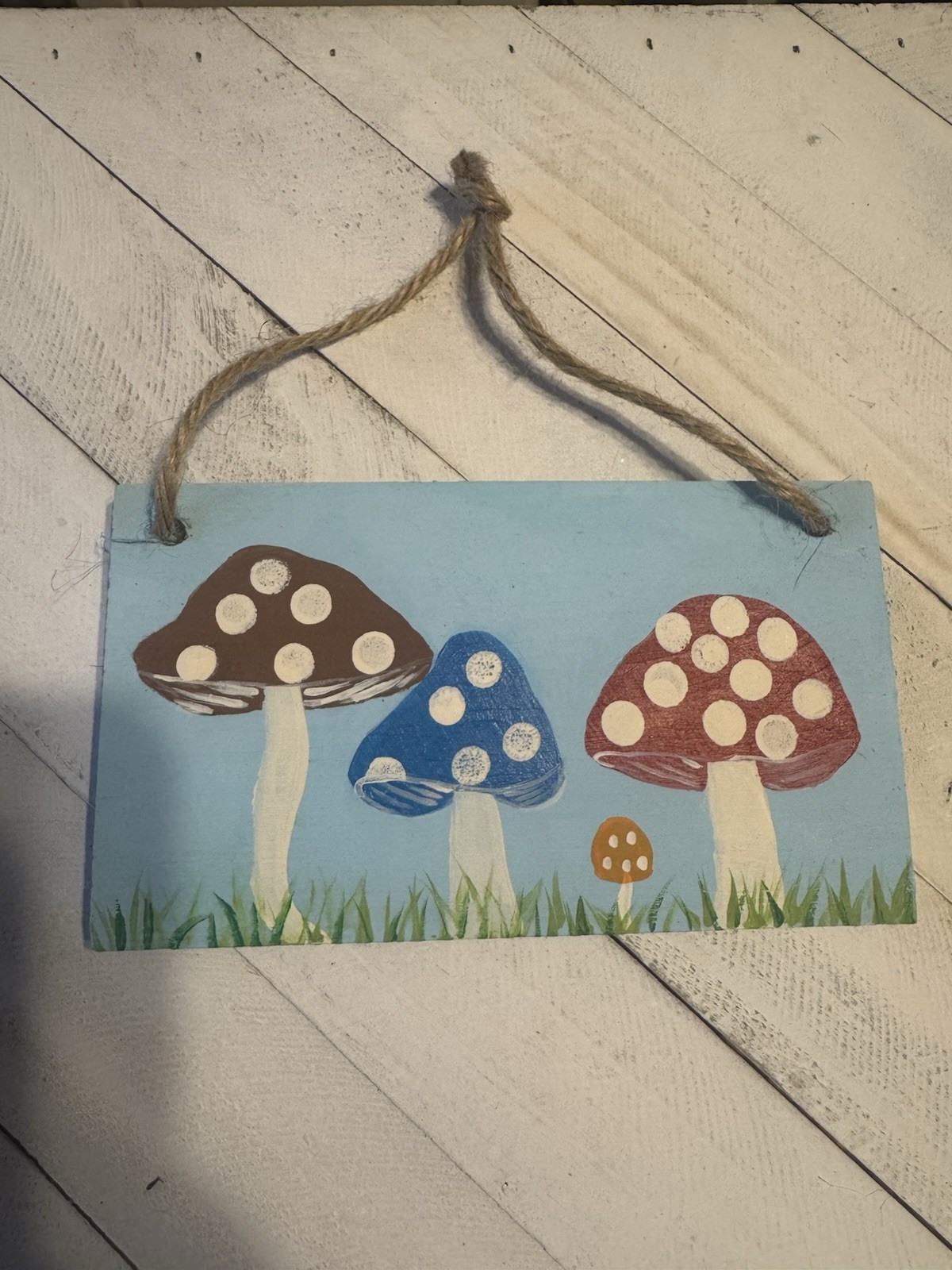 Rustic Wooden Hanging Mushroom Sign w/ Rope Hanger, Blue Rectangular Plaque
