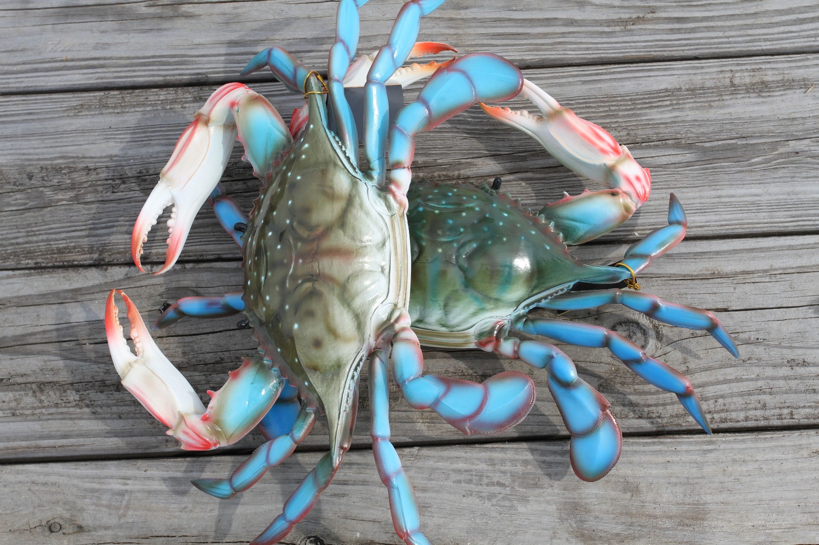 1-Huge 17 Inch BLUE CRAB Restaurant Wall Decor,All Occasion Gifts,Bath Decor
