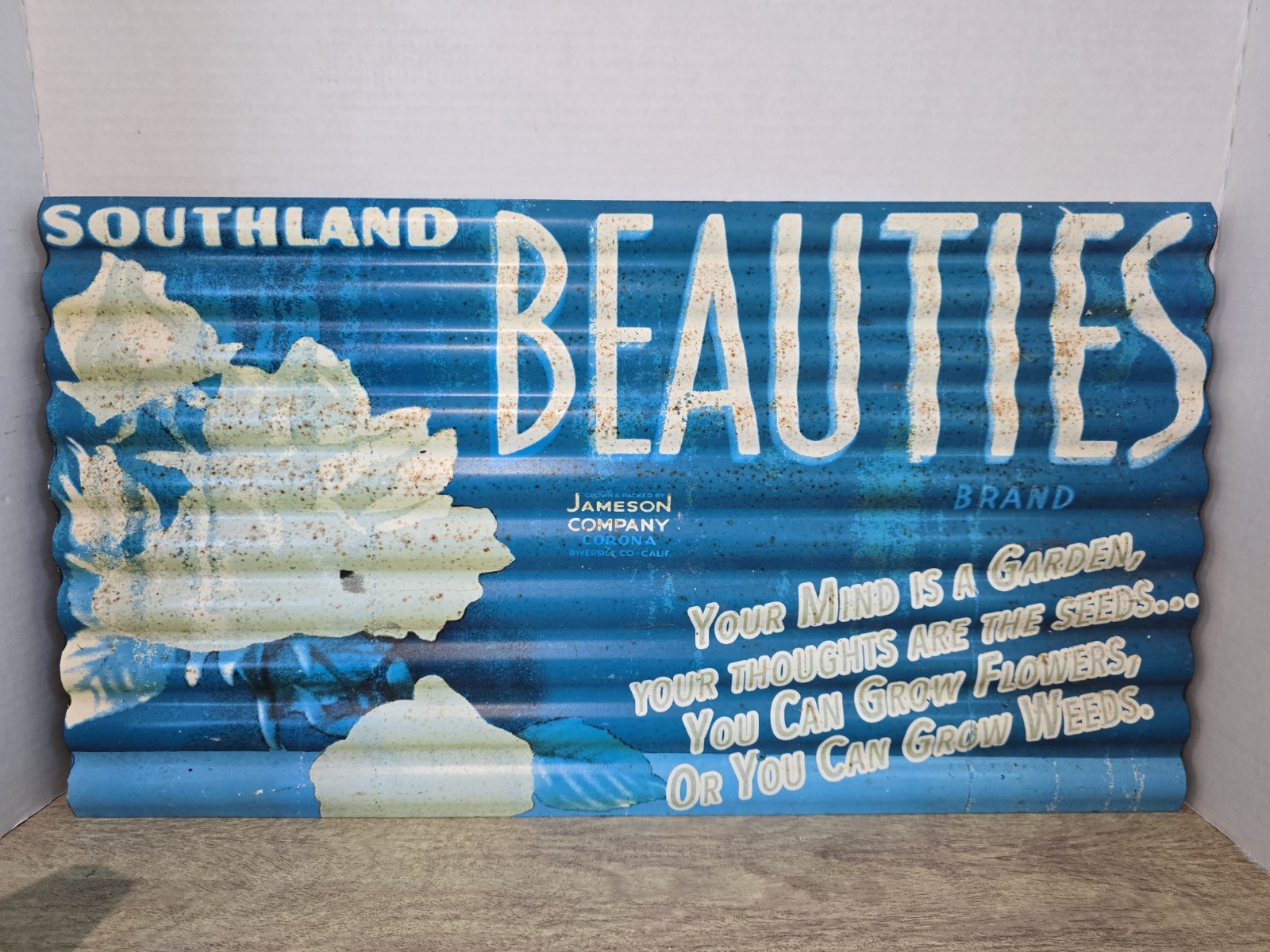 Southland Beauties Brand Rustic Petina 21.5″x12″ Metal Advertisement Garden Home