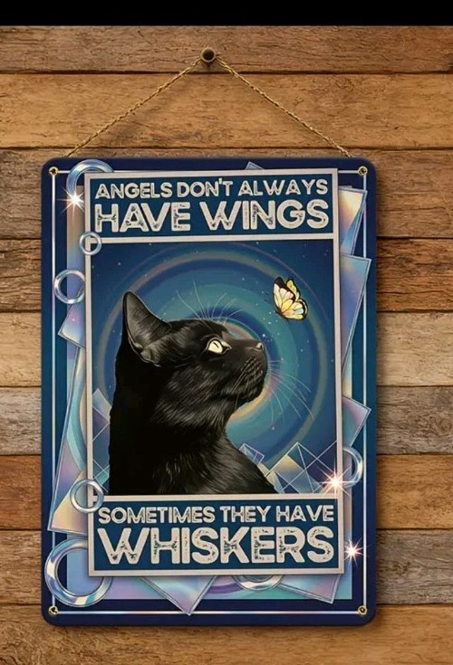 Angels Don’t Always Have Wings Sometimes They Have Whiskers Black Cat Tin Sign