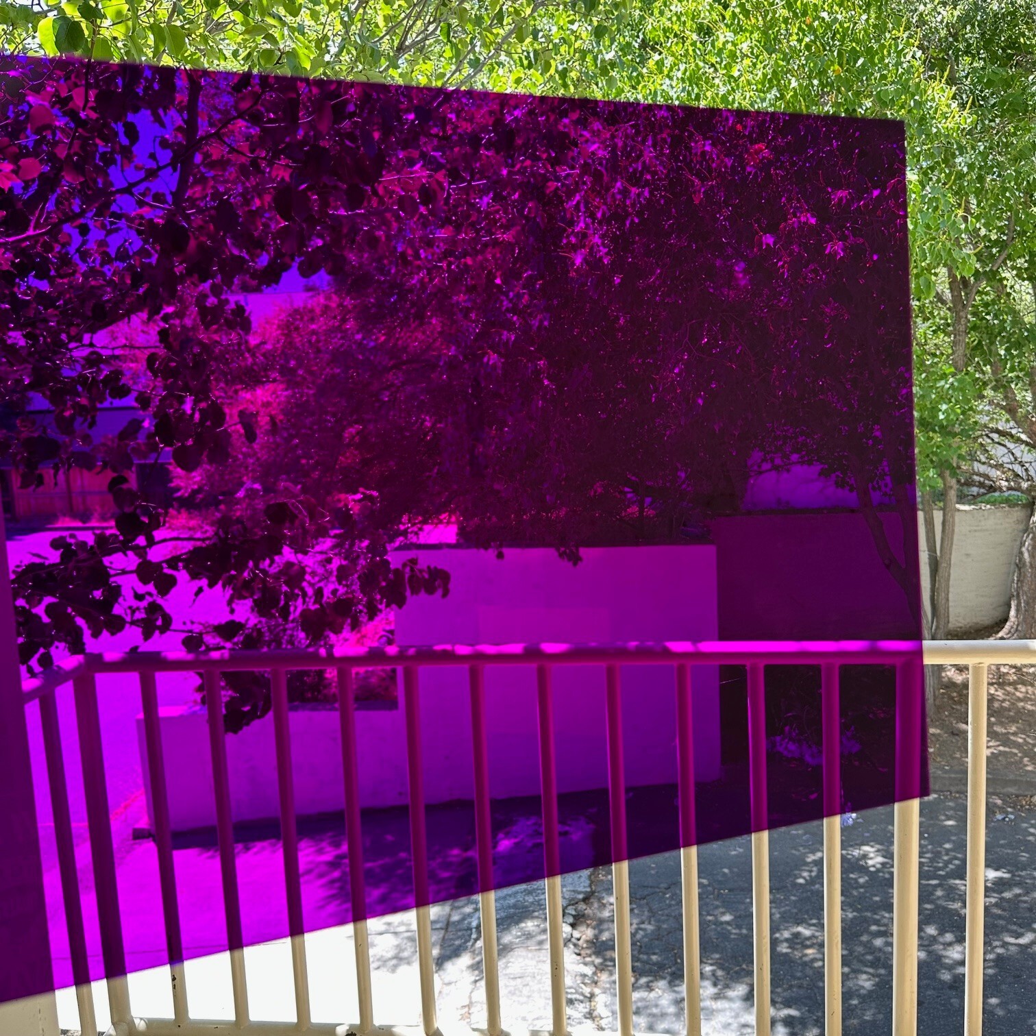 Acrylic Plastic Sheet 12″ x 24″, 1/8″ Thick, Purple Translucent Plexiglass Panel