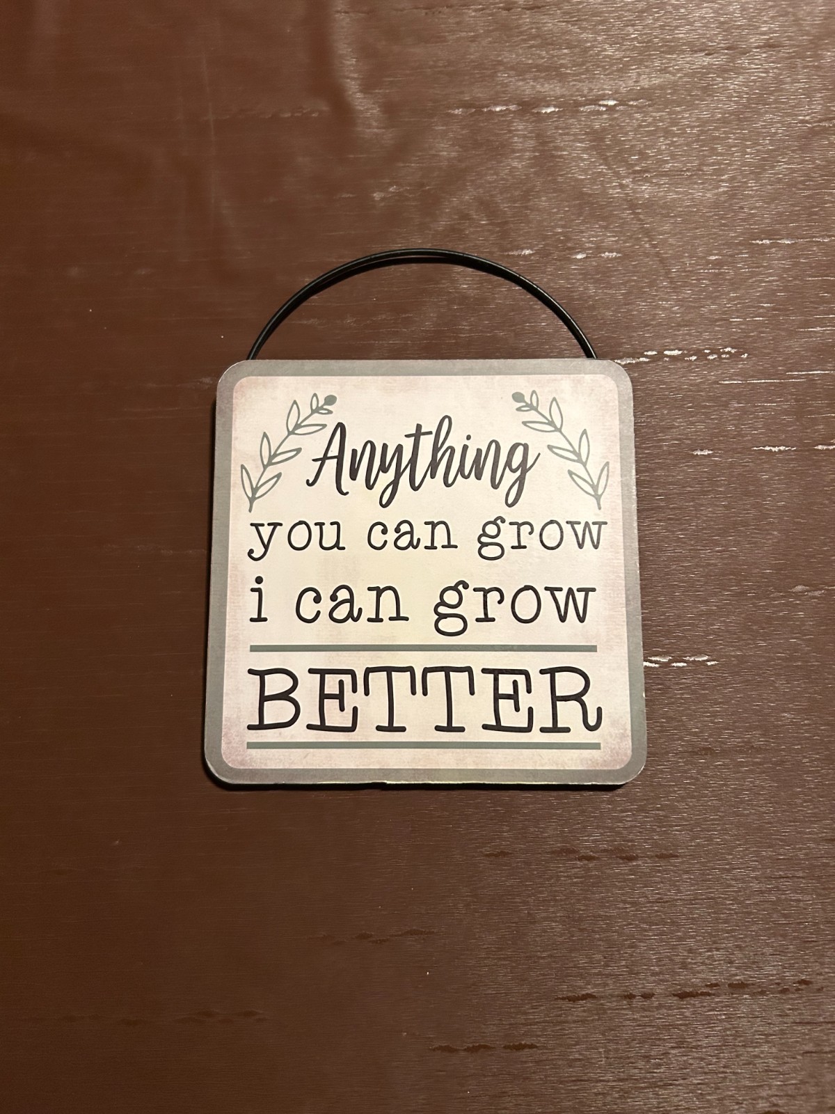“Anything You Can Grow I Can Grow Better” Sign by Enchanted Garden – Greenhouse