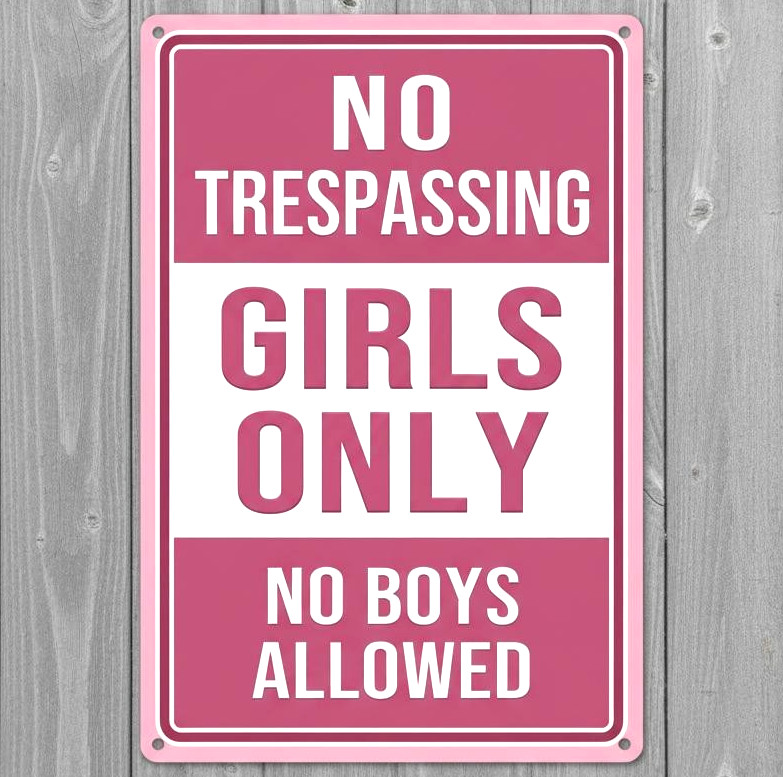 Girls Only No Boys Allowed 8 x 12 V Novelty Metal Sign Made In USA New!