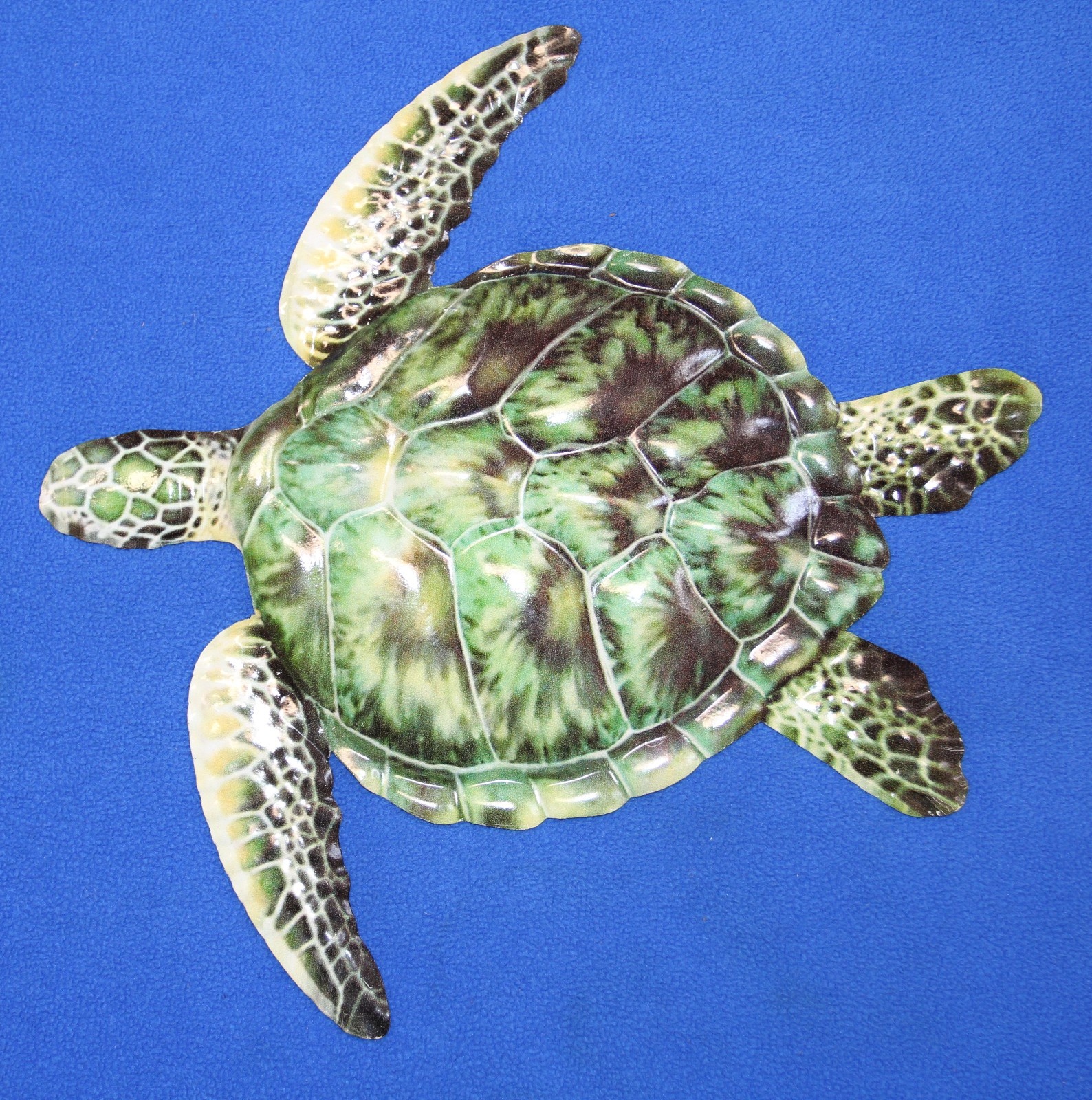 1-GREEN SEA TURTLE, Beach Decor,nature themed,all occasion gift,sea life SS-GT3