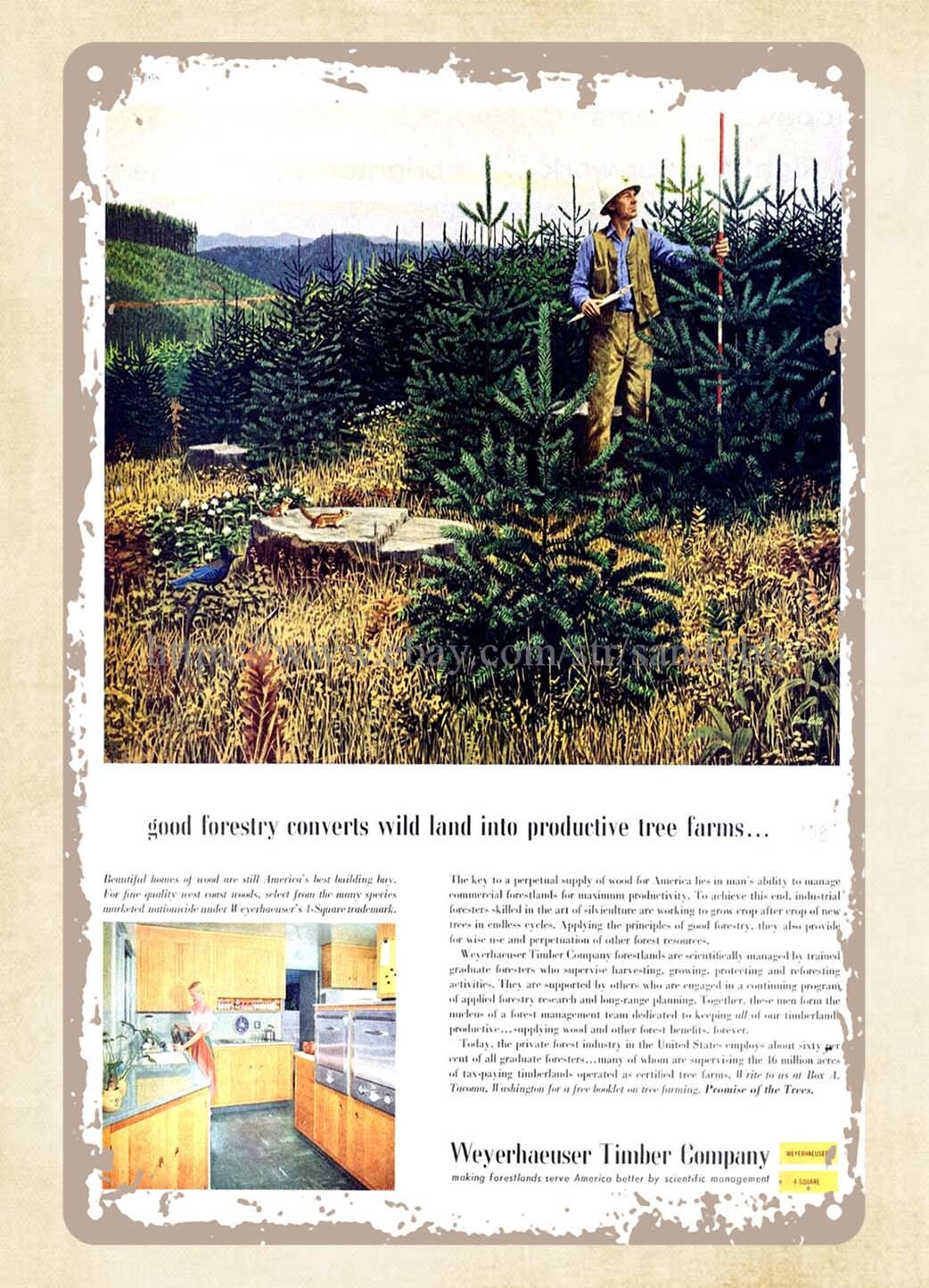 1958 tree farms man meets squirrel Weyerhaeuser company metal tin sign