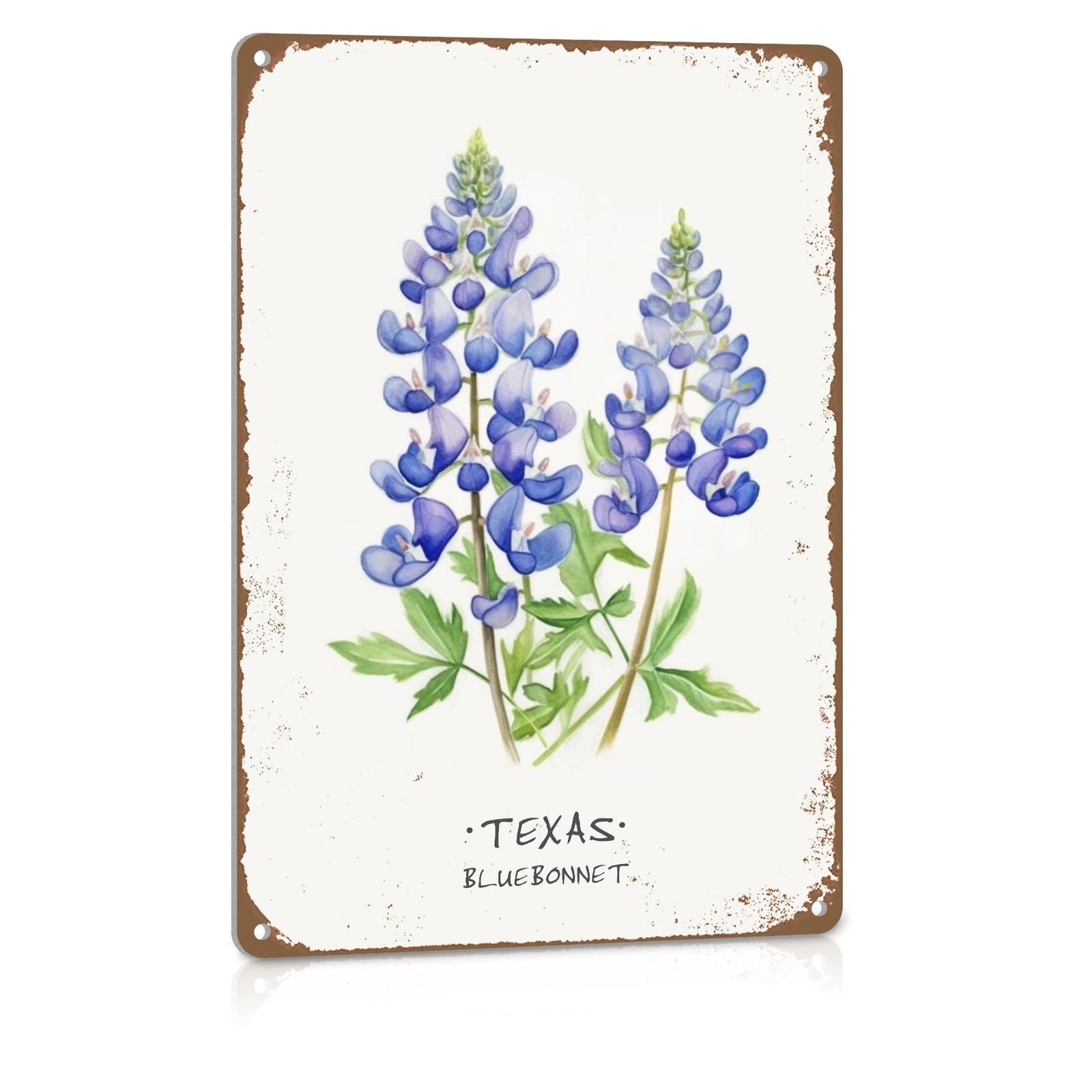 ALREAR Texas Bluebonnet Decor – Home Souvenirs 8″L x 12″W,