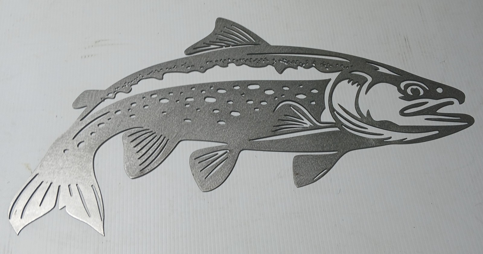 Salmon