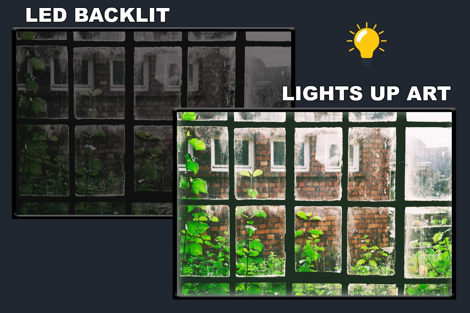 LED Backlit Window View Wall Art – Green leafed plant across building