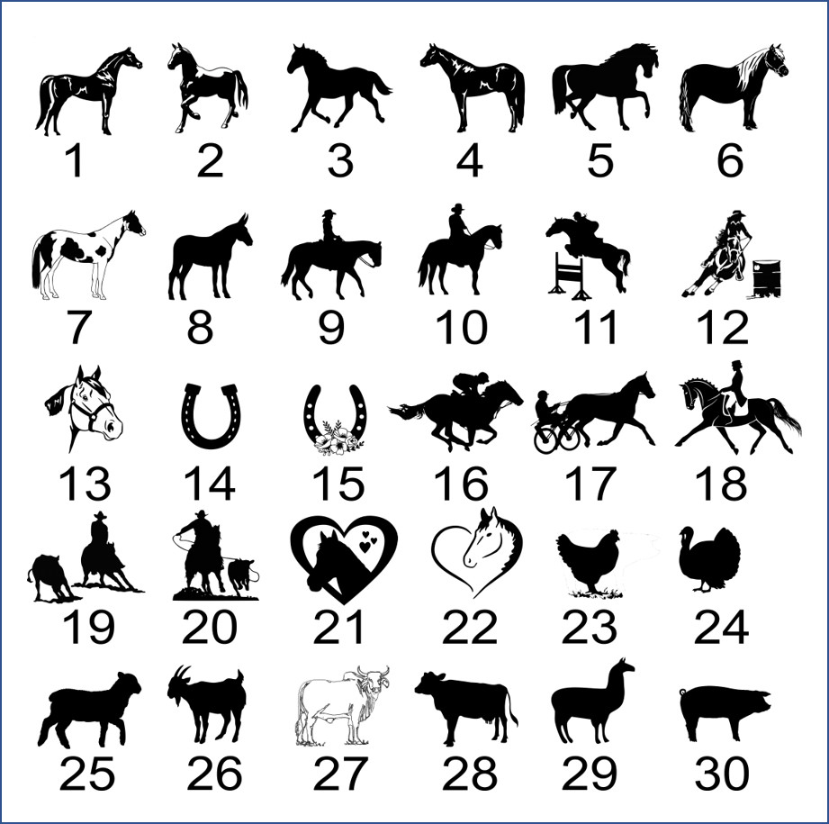 4″ x 8″ Horse Stall Sign, Horse & Owner Name – Heavy Duty 1/8″ laser engraved