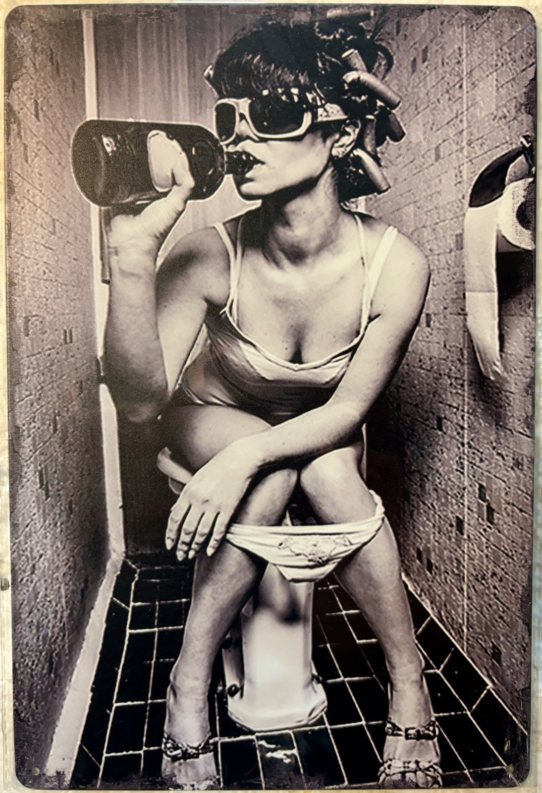 TIN SIGN 8×12 Sexy Funny Party Girl Bathroom Drinking Alcohol Panties DD22