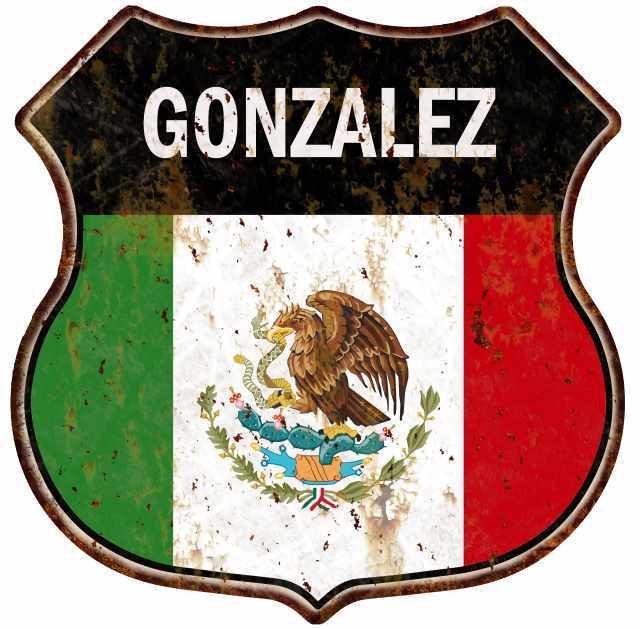 GONZALEZ Mexican Flag Personalized Shield Metal Sign Mexico 211110008007