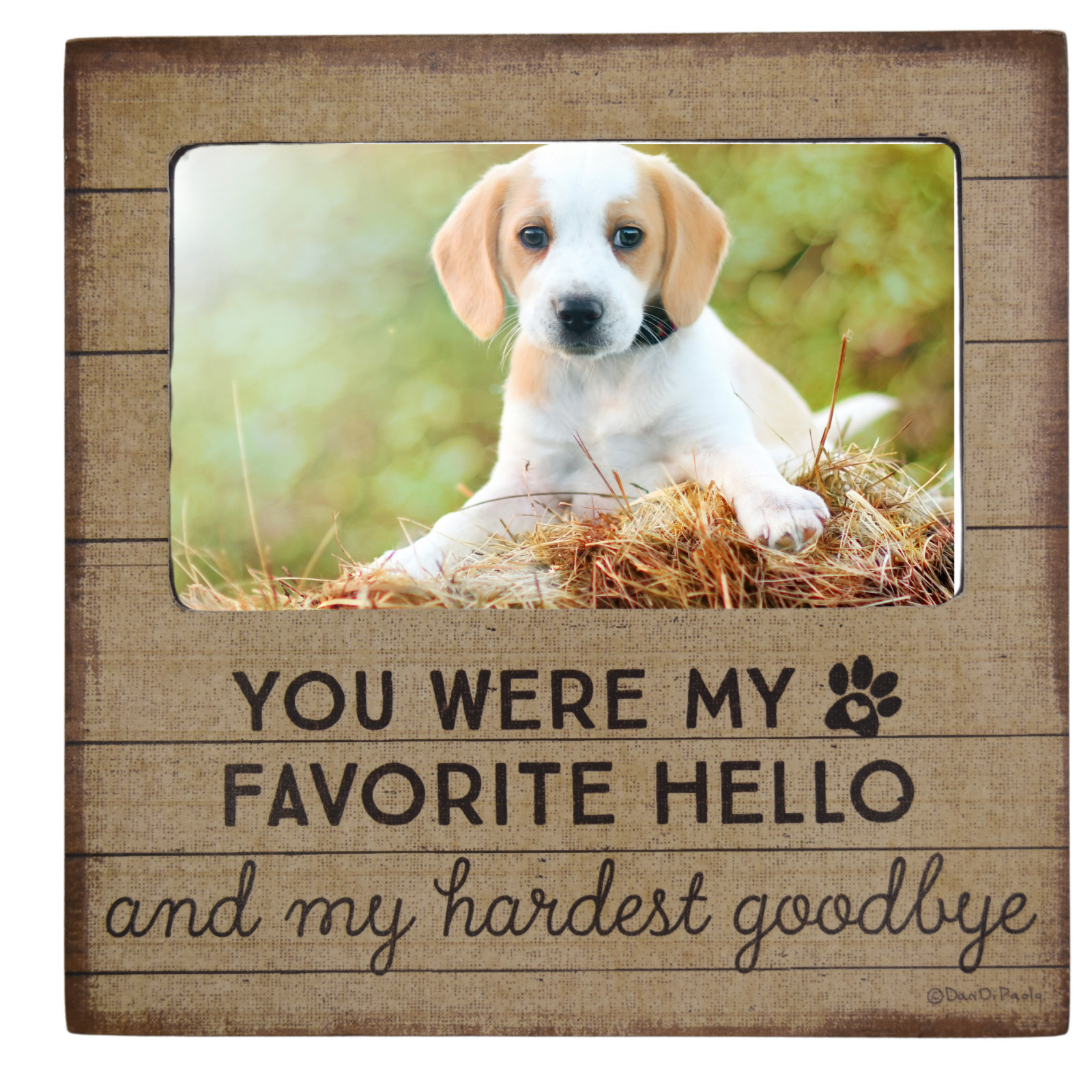 Pet Memory Frame 6×6 You were My Favorite Hello and My Hardest Goodbye