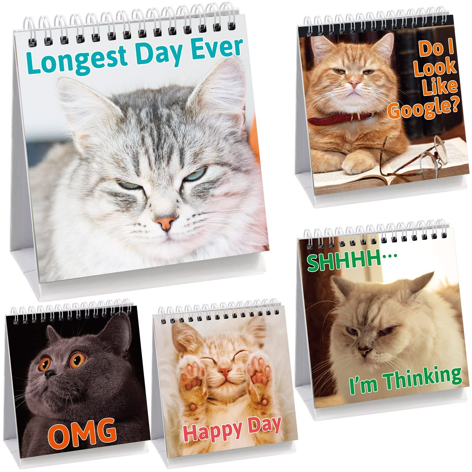 Funny Desk Signs for Kitten Lovers 30 Different Fun and Flip-Over Messages fo…