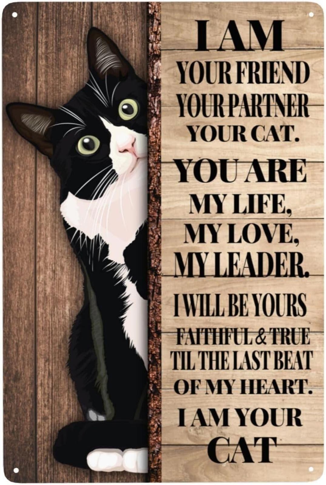 Metal Home Sign Black Cat I Am Your Friend Your Companion Aluminum 8×12