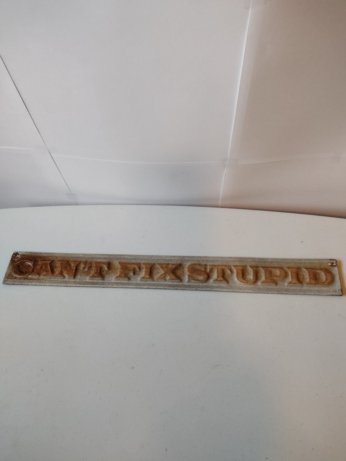 Can’t Fix Stupid Sign #718460 Open Road Brand 18″ x 2″ – Used