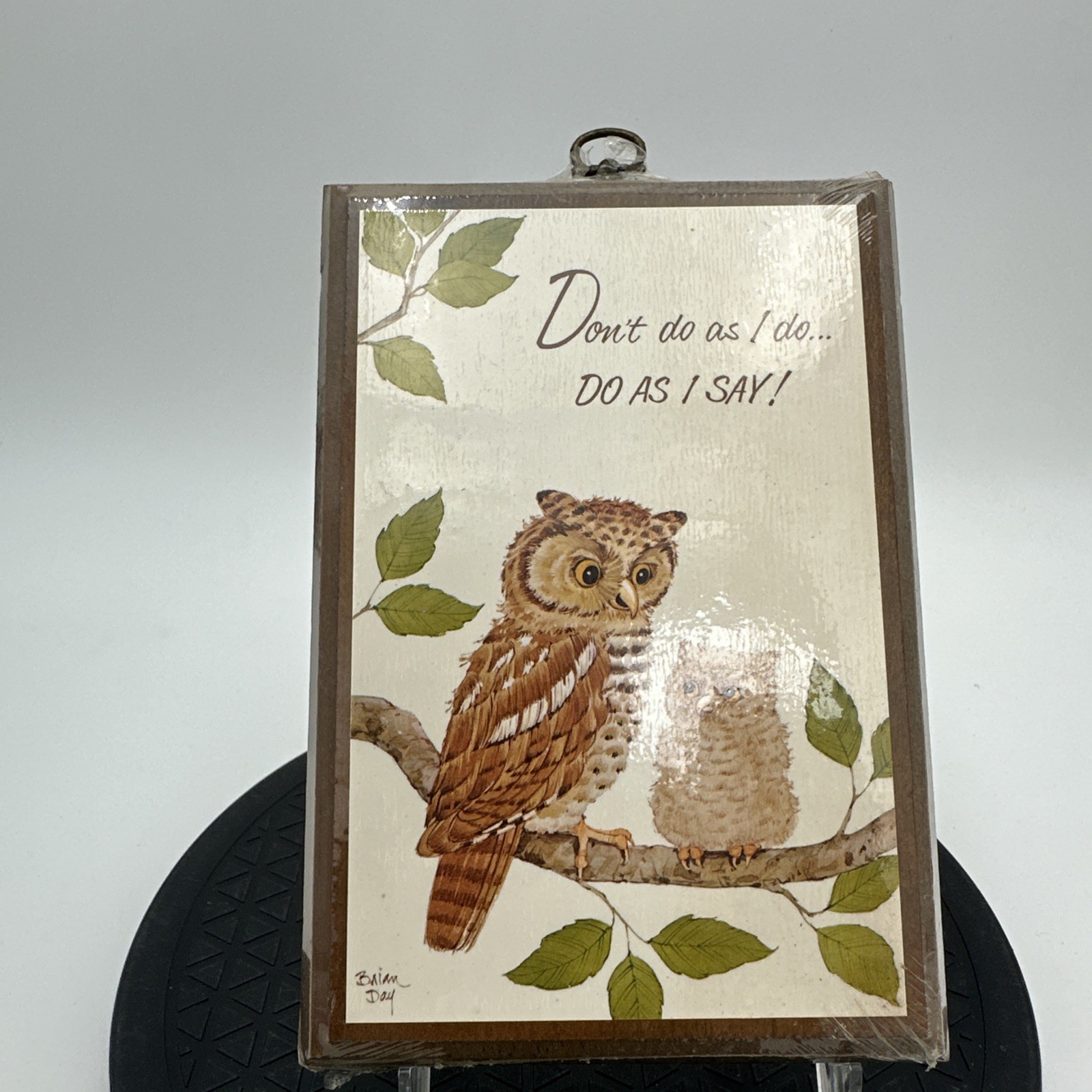 70’s Wall Decor Owl Boho Kitchy Decor HandPainted Signed Brian Day