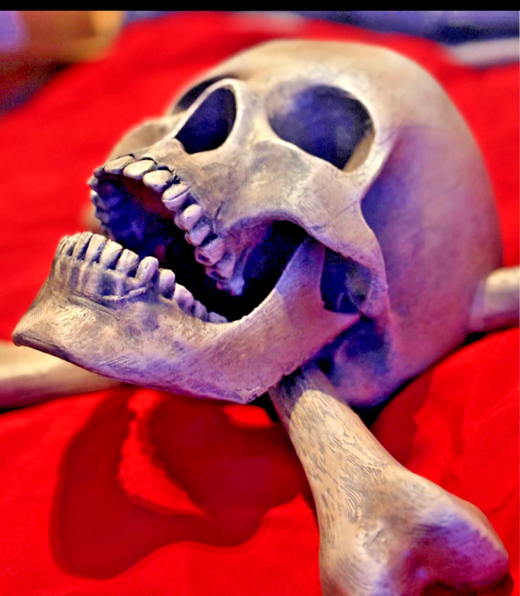 Pirate Skull & Crossbones Wall Decor | Lifesize Jolly Roger | Halloween Man Cave