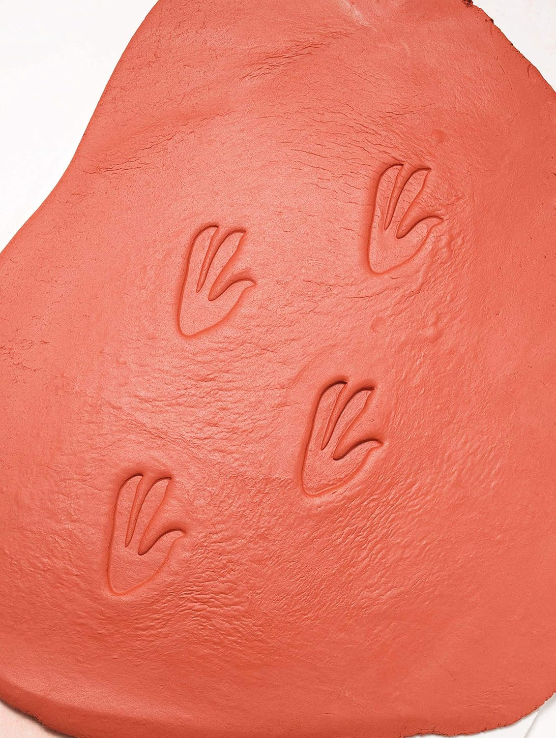 Let’S Investigate Dinosaur Footprints