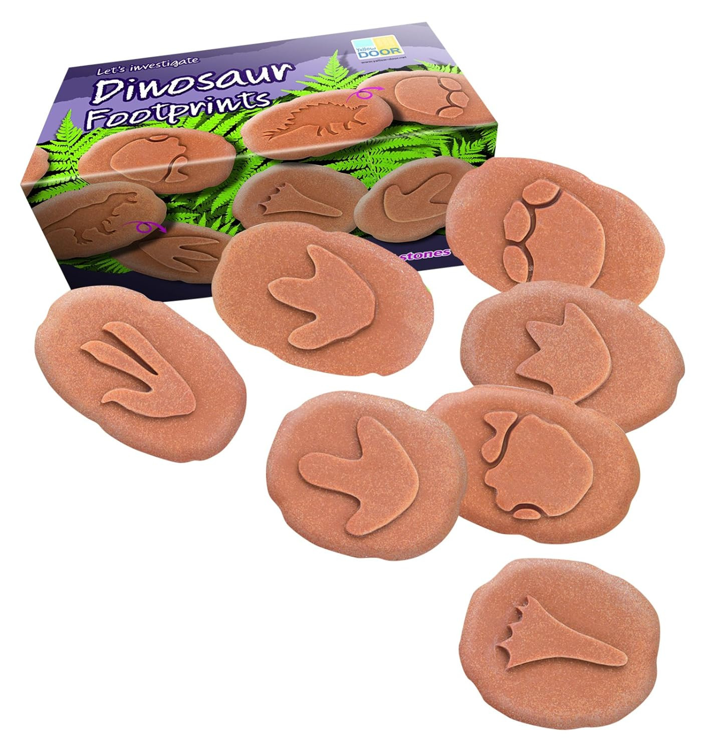 Let’S Investigate Dinosaur Footprints