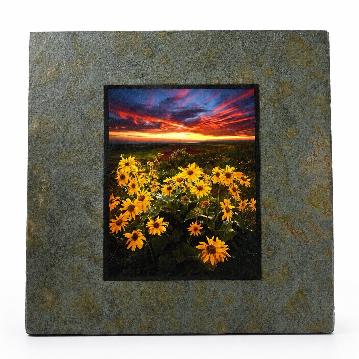 Kevin McNeal Slate Pics Sunset Black Eyed Susan Floral Photo Art Tile Plaque