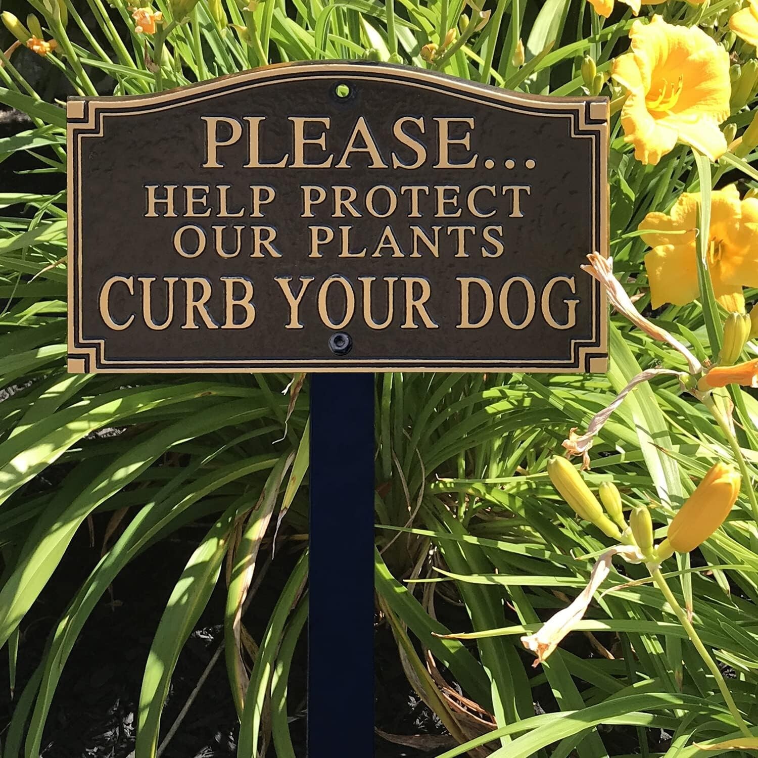 Durable Black & Gold ‘Curb Your Dog’ Plant Protection Plaque with 18″ Lawn Stake
