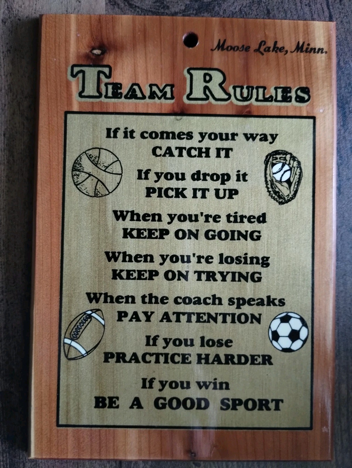 Vintage “TEAM RULES” Wood Wall Plaque Decoration from Moose Lake, MN 5 x7 INCH